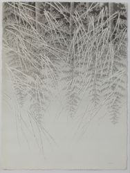 Eel Grass 2019 Sumi Ink on Wove Paper