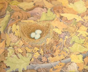 Hermit Thrush 2022, casein on panel, 16x20