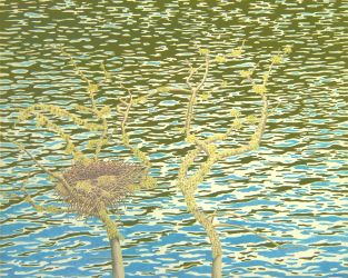 Hiding In Plain Sight 2022 casein on panel 20x16